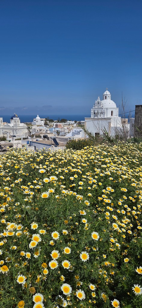 Spring flowers with the village and sea beyond